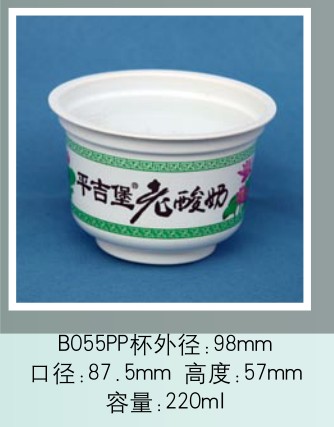 B055PP B055PP