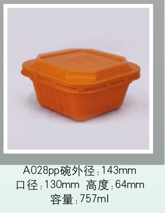 A028PP A028PP