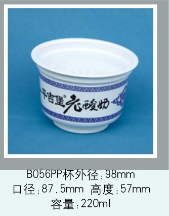 B056PP B056PP
