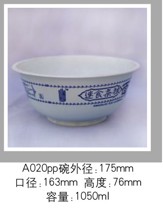 A020PP A020PP