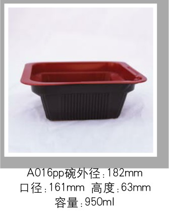 A016PP A016PP