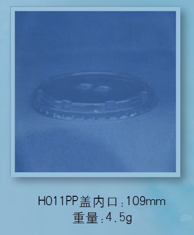 盖子系列21