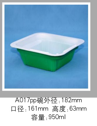 A017PP A017PP