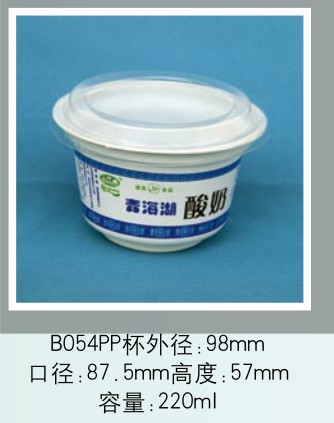 B054PP B054PP