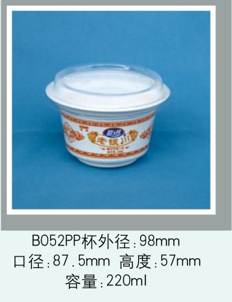 B052PP 